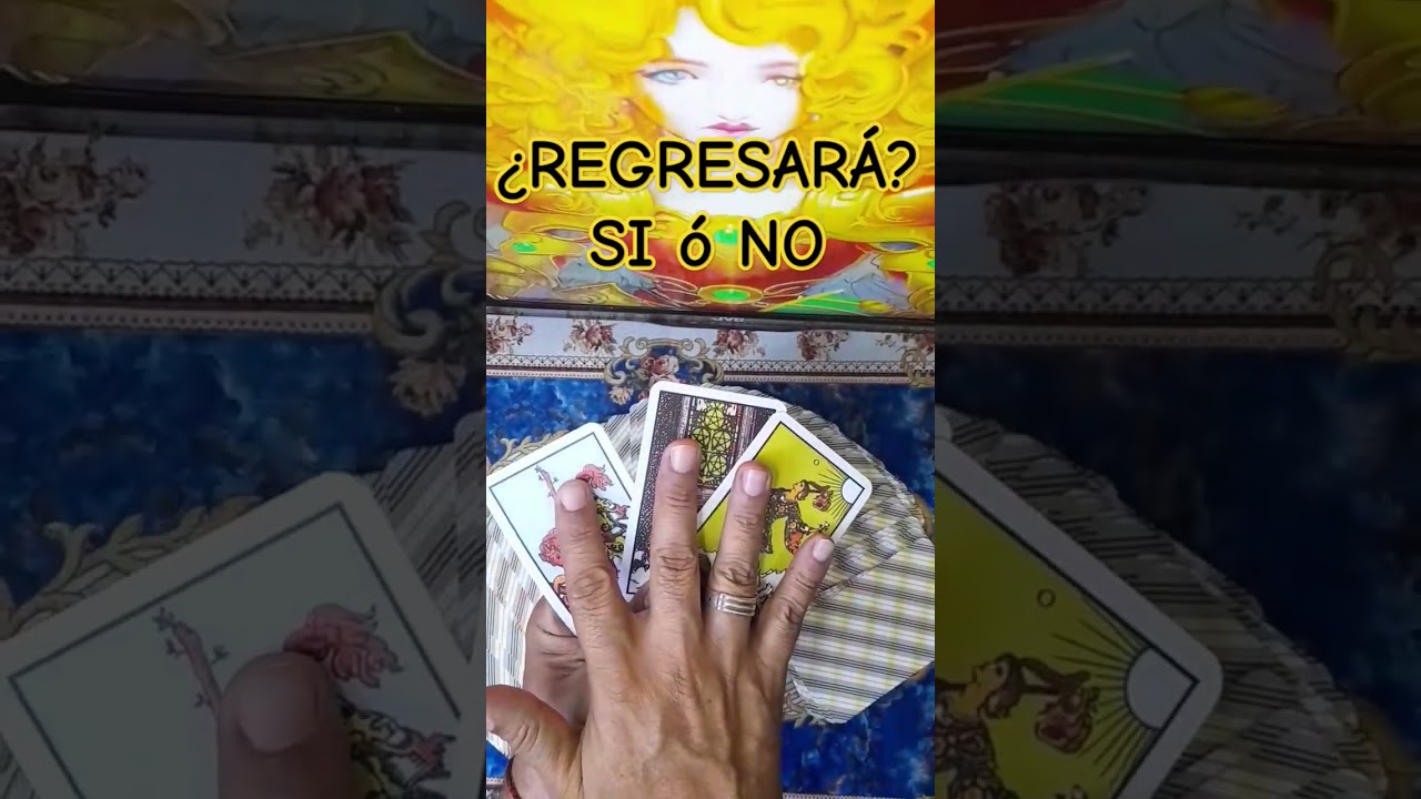 &iquest;Regresar&aacute;? que pasara con tu relaci&oacute;n #tarot #interactivo consulta de tarot gratis