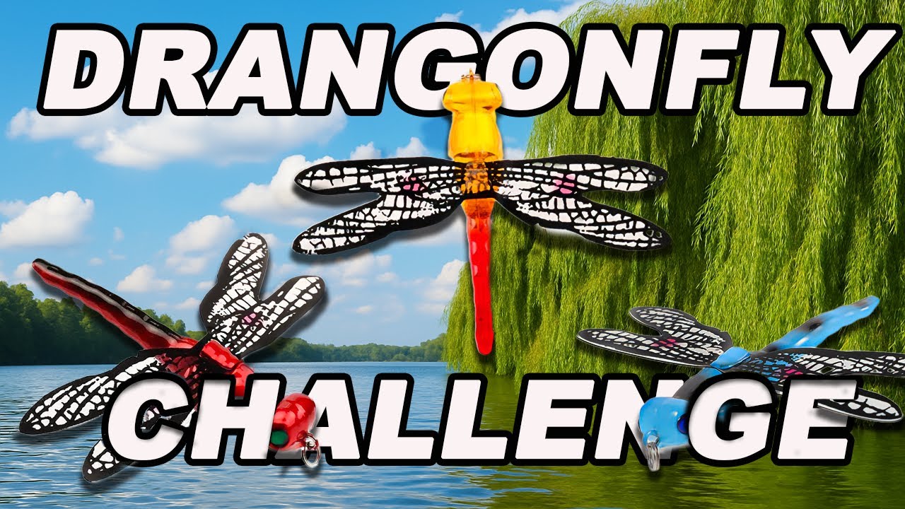 Challenge Pesca: 3 Esche Libellula vs Bass - Funzionano?