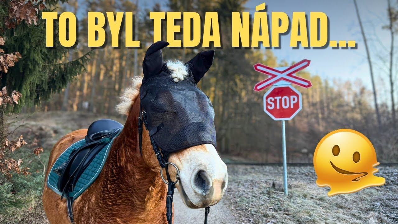 Našli jsme skokovou dráhu v lese | VLOG