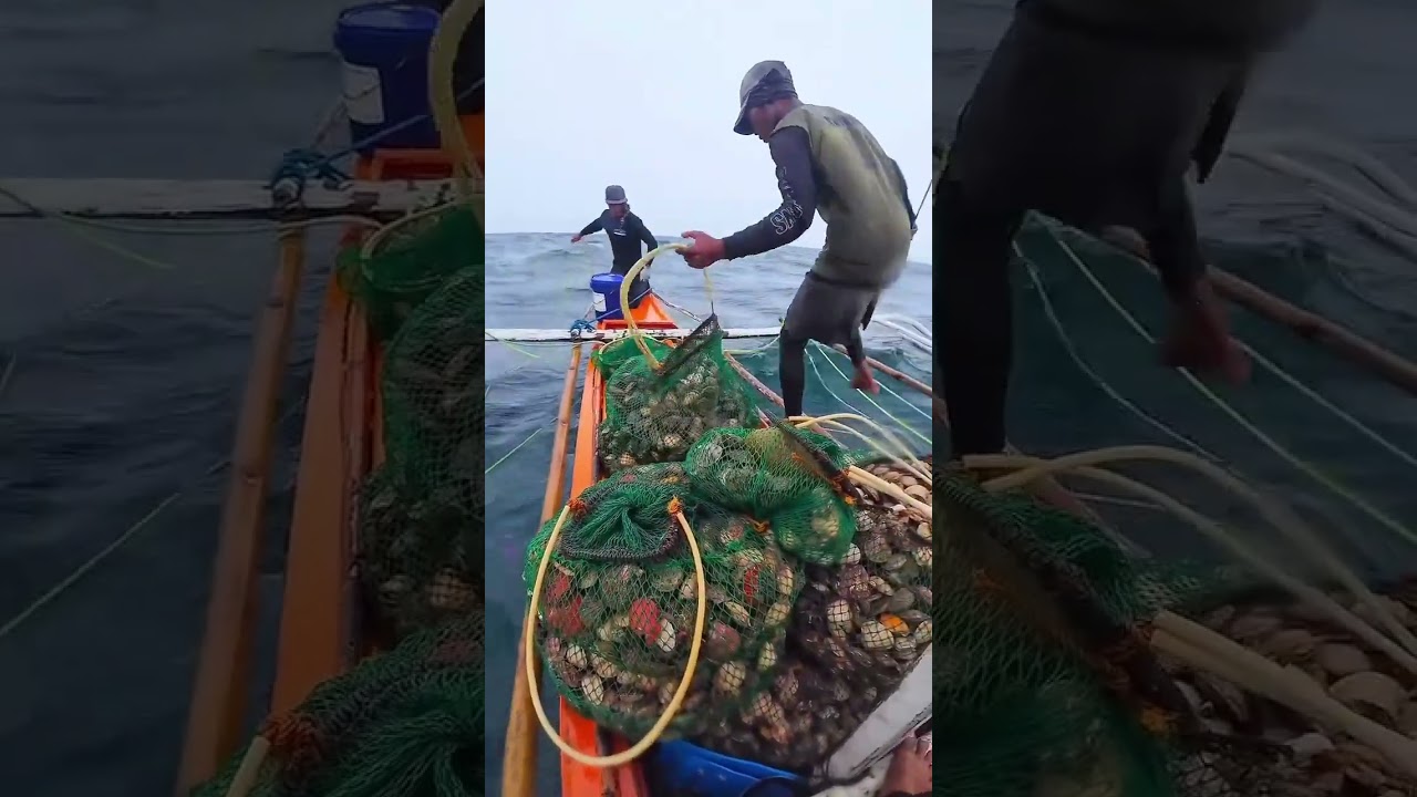 Ganda ng spot #shells #seafoods #sea #fisherman #island 
