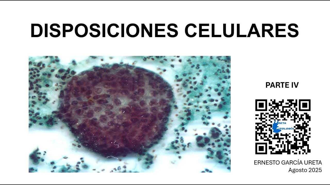 Disposiciones celulares parte IV