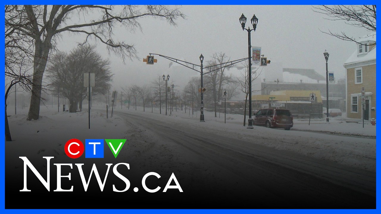 Storm brings heavy snow and strong winds to Halifax