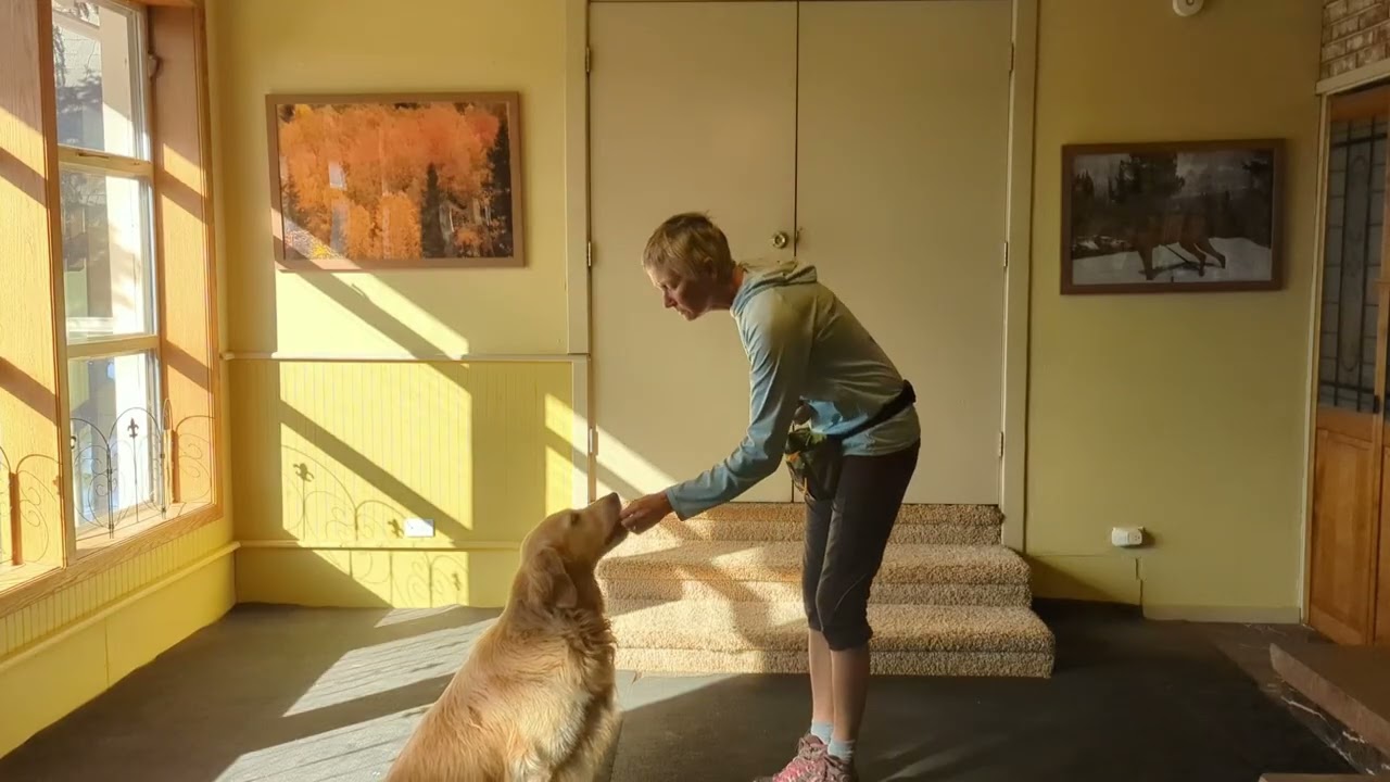 Stay Intro - Demonstration