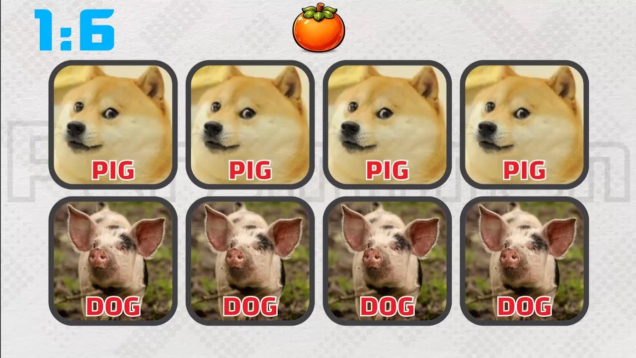 Your Brain vs Images | Speed Focus Test