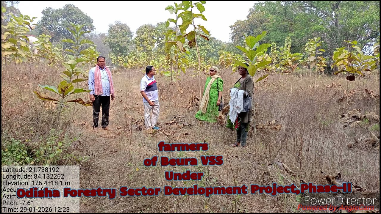 Farm Forestry for Climate Action and Carbon Markets, OFSDP-II, Rengali, Sambalpur Forest Division 