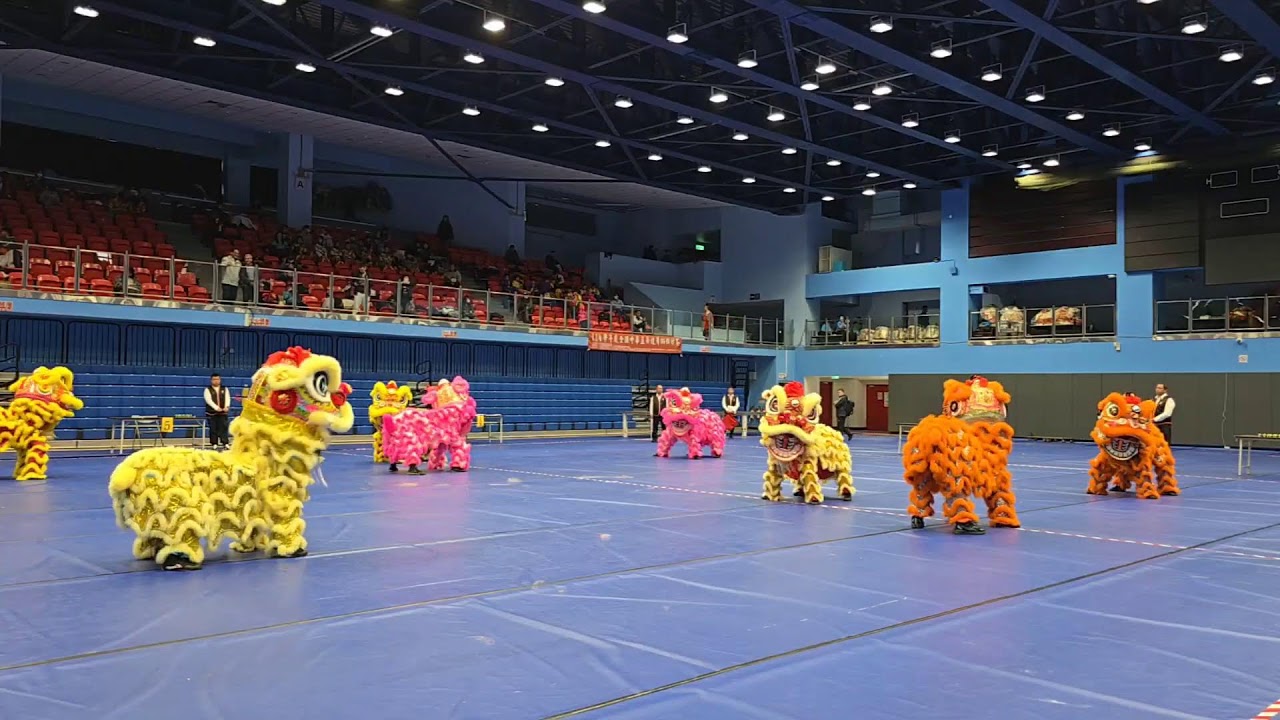 2026【南獅雙獅＆南獅四獅】114學年度全國中華盃舞龍舞獅錦標賽(高中組、國中組、國小組)(社會組)