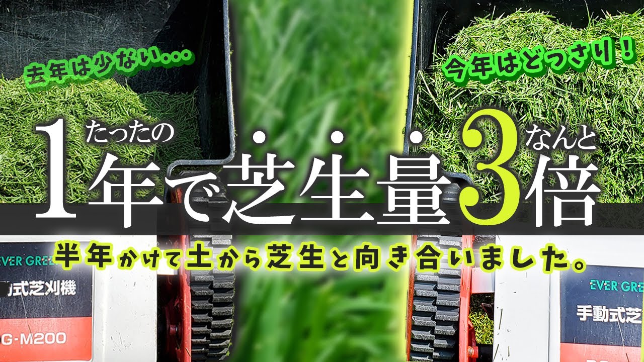 簡単作業で【劇的】に変わりました！なんと芝刈り量が３倍に！