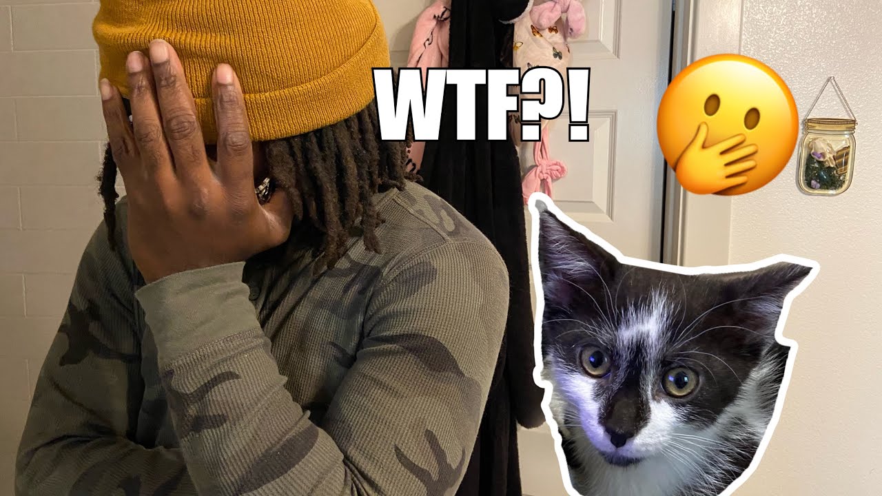 SURPRISING MY BOYFRIEND WITH A KITTEN🤭 *His Reaction Is Priceless*