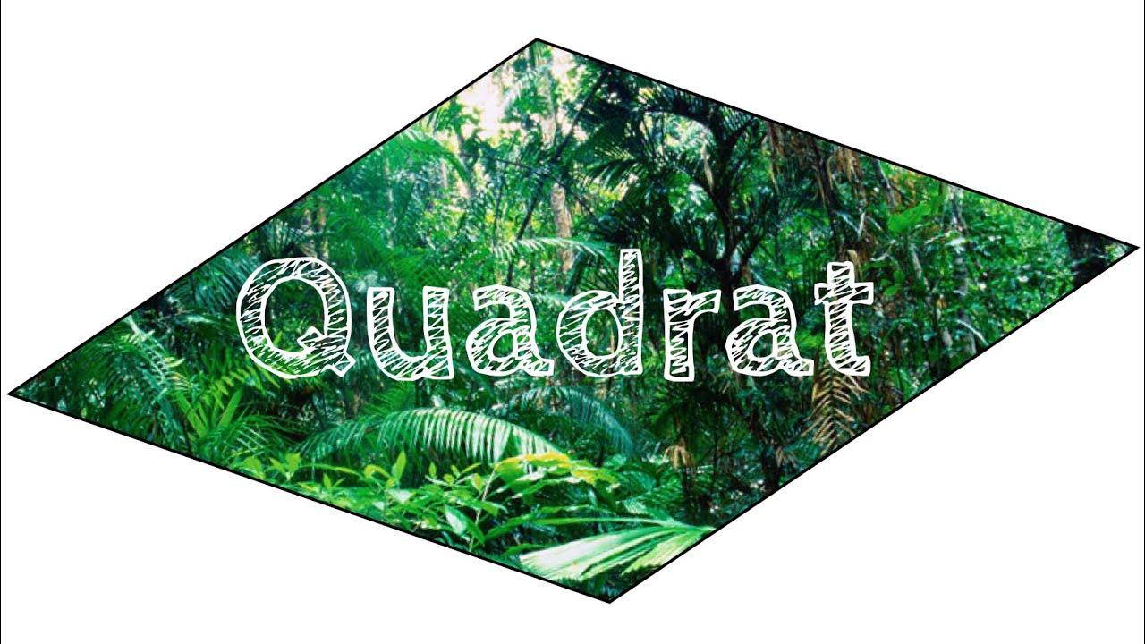 Как сделать КВАДРАТ