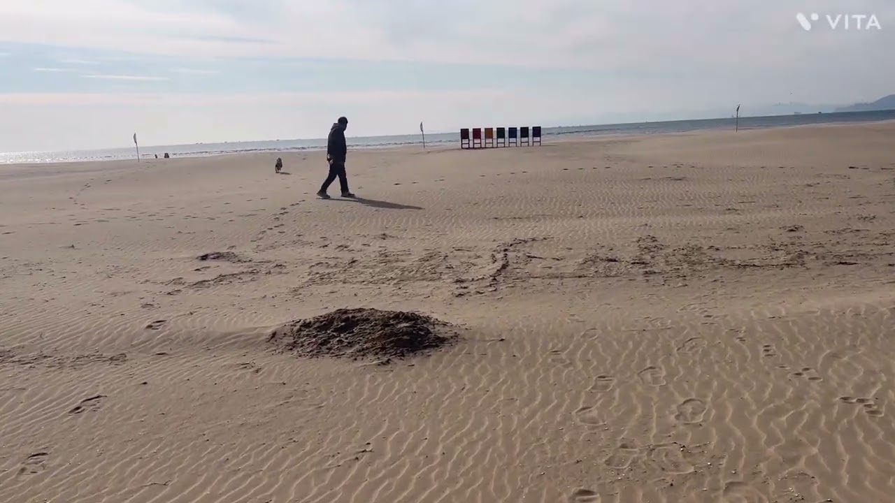 언제가도 좋은 다대포 해수욕장