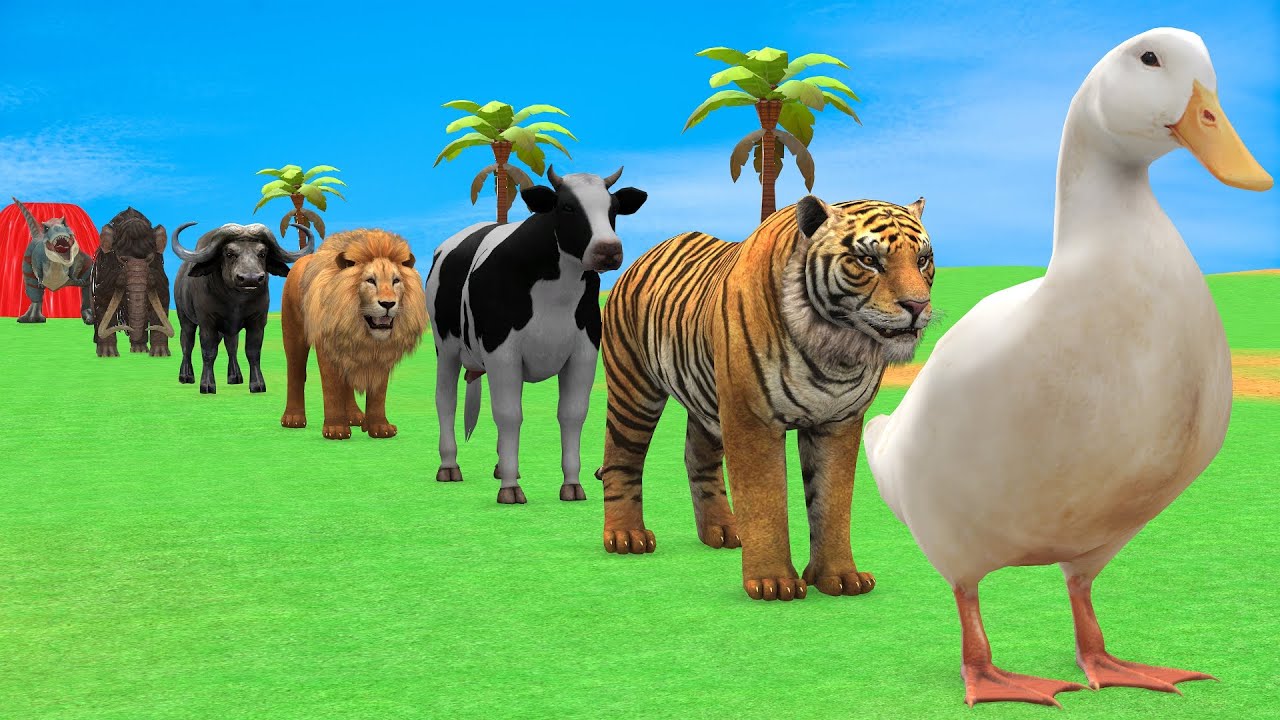 Long Slide Game with Cow Elephant Gorilla Hippopotamus Tiger 3d Animal Game Funny 3d Animals