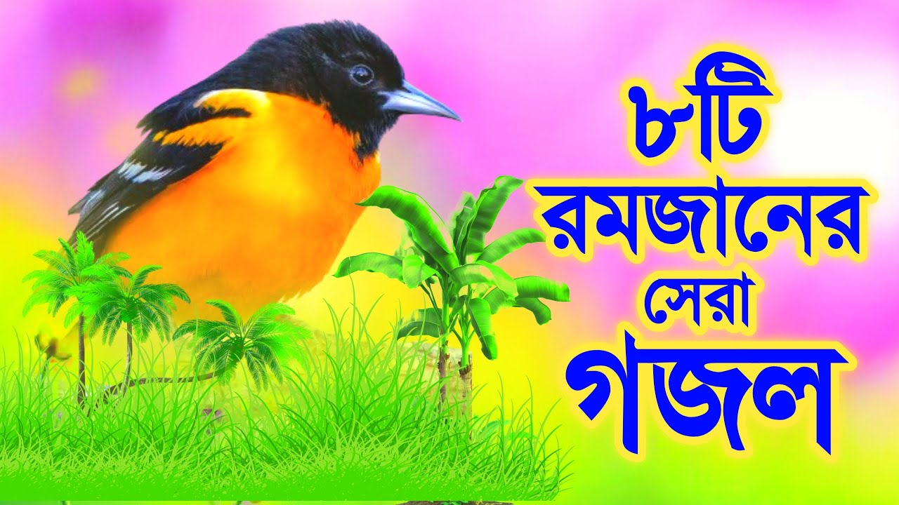 গোনাহ মাফের ৮টি মন প্রাণ জুড়ানো রমজানের সেরা গজল | Top 8 Ramadan Gojol | রোজার গজল | Ramzan Ghazal