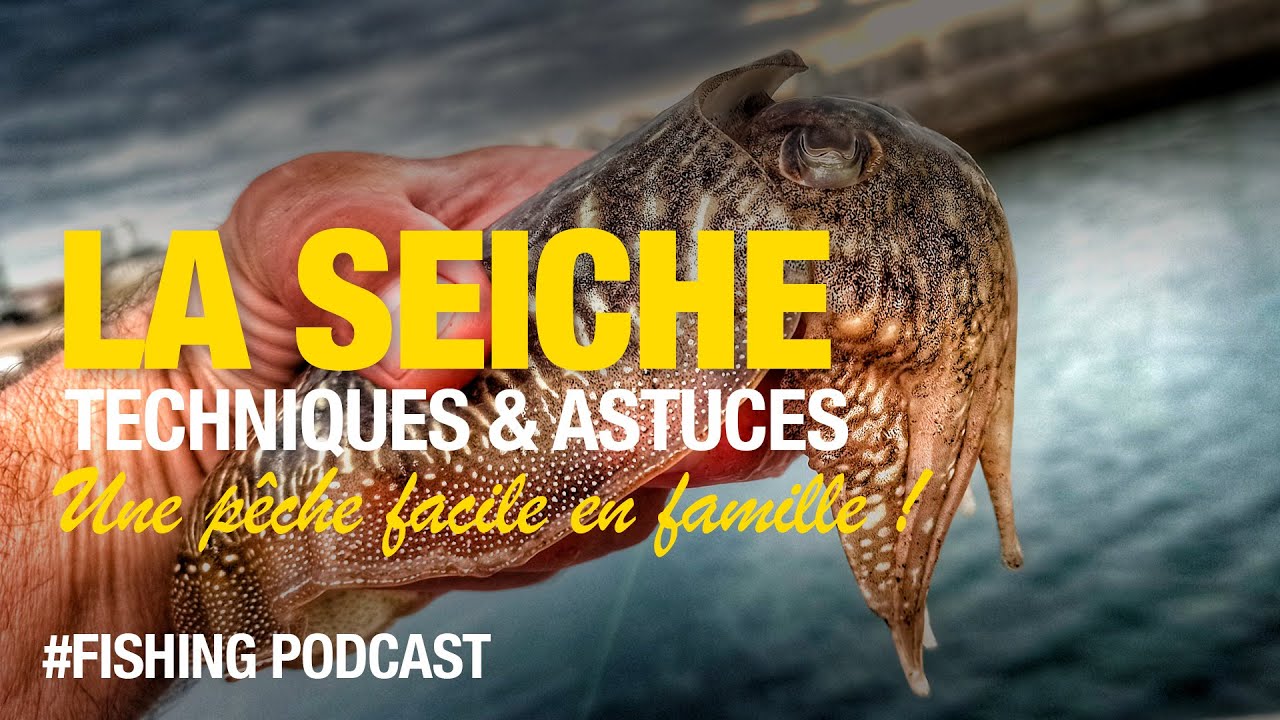 P&ecirc;che de la seiche Eging facile en bord de mer