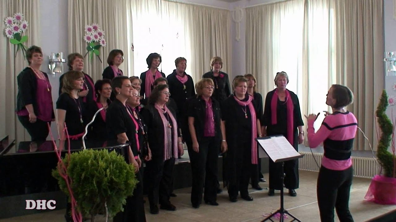 Dietmar-Hahn-Chor - Lollipop