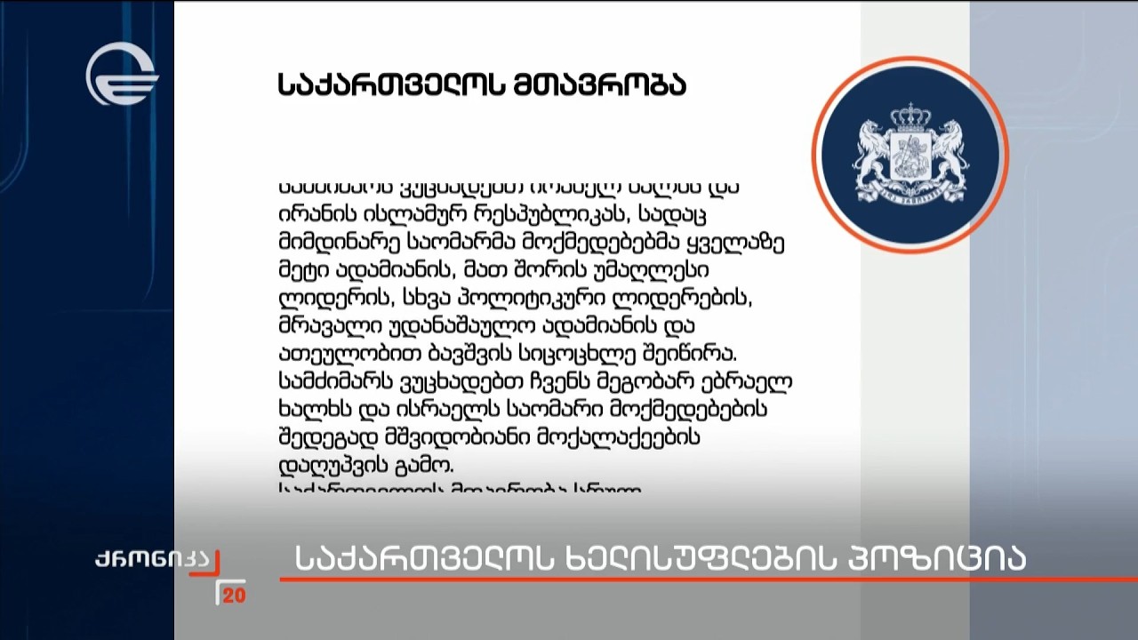 საქართველოს ხელისუფლების პოზიცია