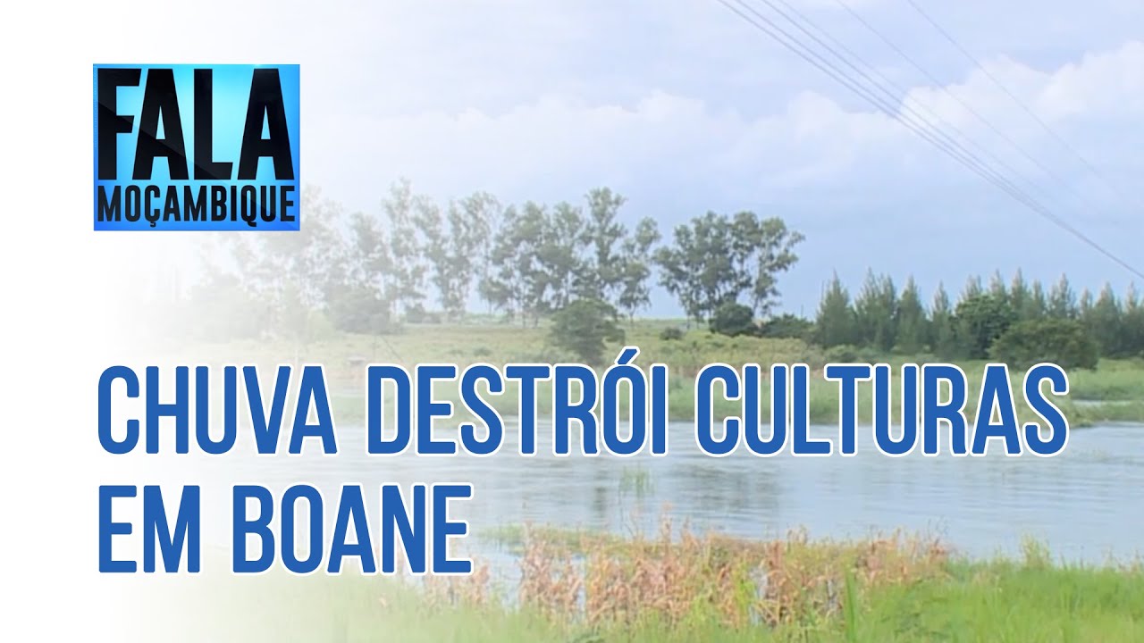 CHUVA DESTRÓI CULTURAS NO DISTRITO DE BOANE, 19/01/2022