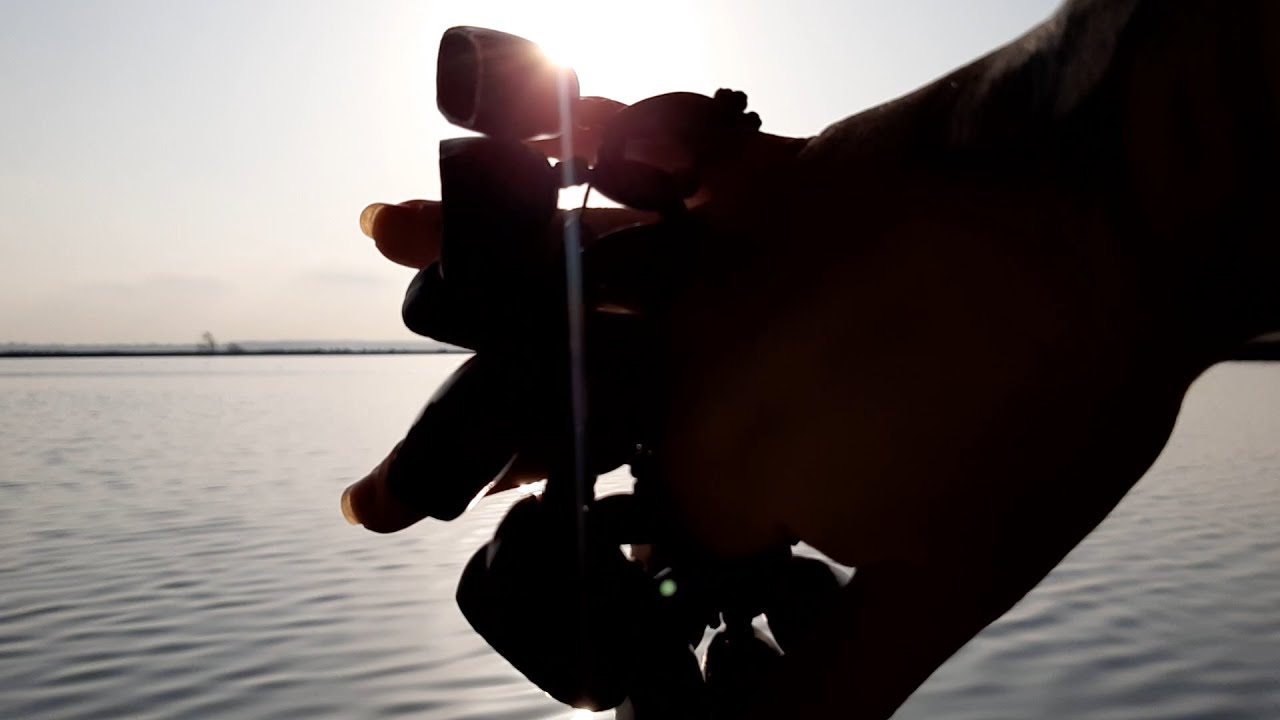 ASMR: Sound therapy session in bird sanctuary| Calm surroundings + nice hand movements (no talking)