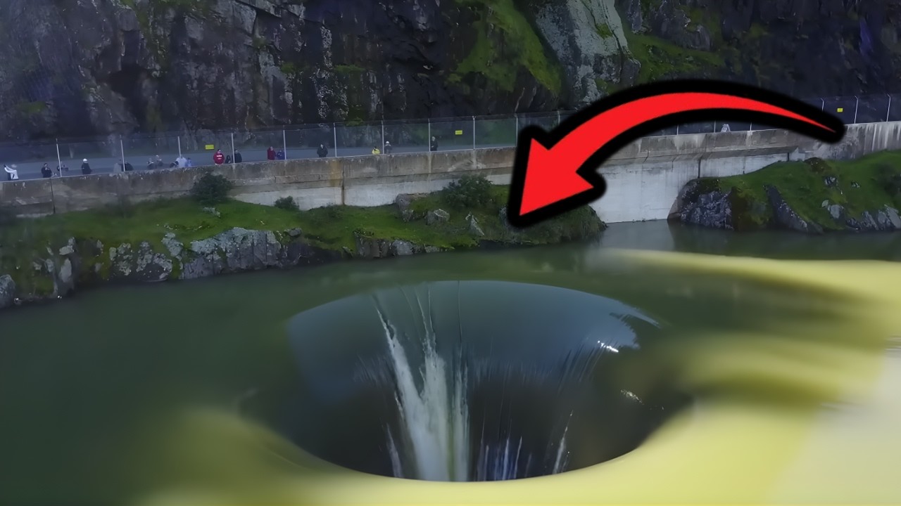 (REACT) 10 Orte an denen du niemals schwimmen solltest!