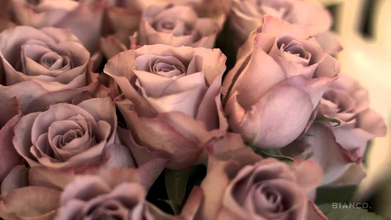 Bianco by Caroline Berg Eriksen | Behind the scenes