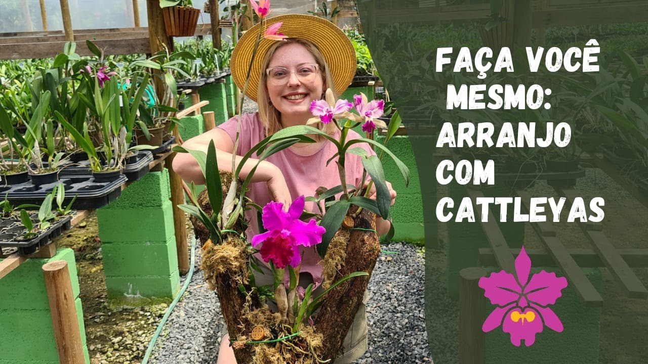 ARRANJO de ORQUÍDEA Cattleya no TRONCO | passo a passo