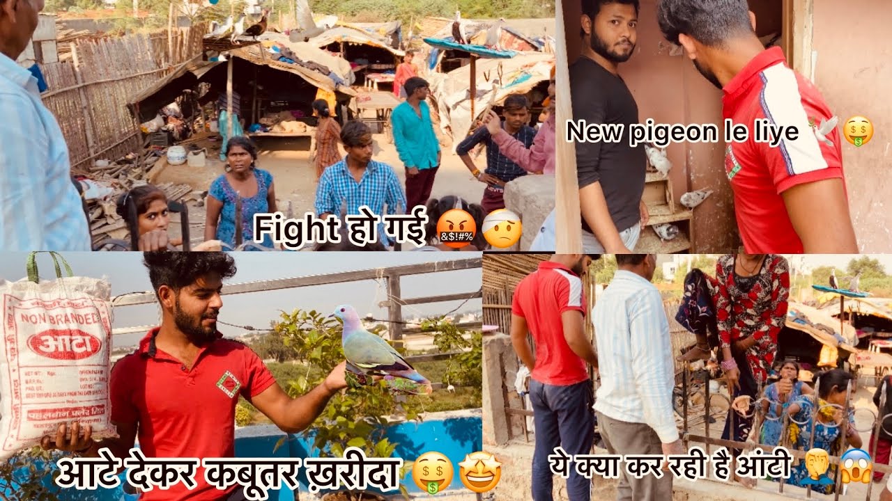 पुरानी बस्ती से कबूतर ख़रीदे 🤑🐦 !! Purchased new pigeon 🕊from 🛖