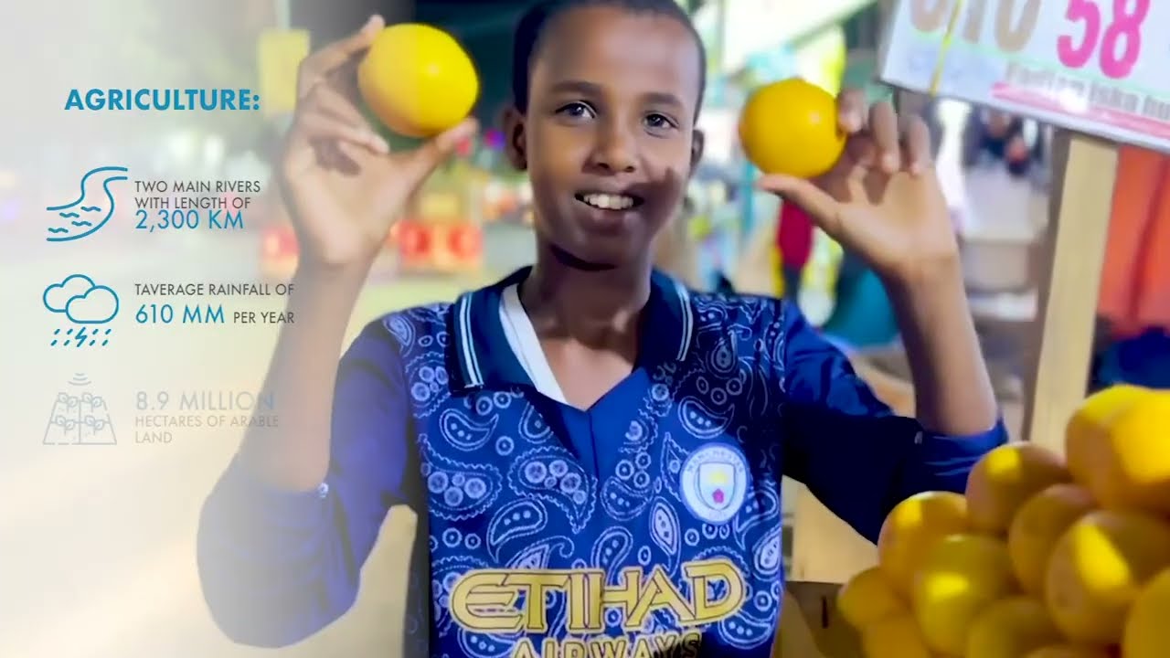 Somalia Rising-Every-day life in Somalia remains anchored in community and hope for a bright future.