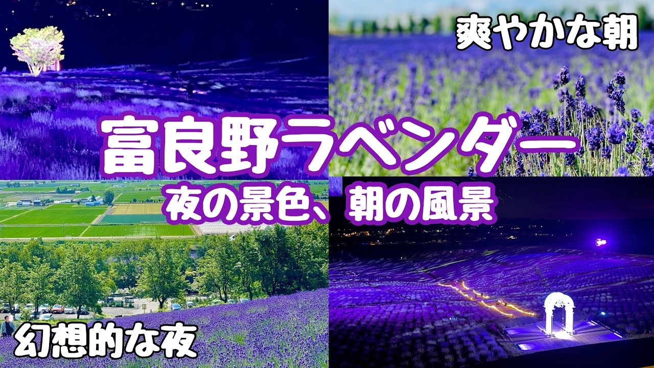 『富良野ラベンダー』朝と夜でこんなに違う！二つのラベンダーの景色を満喫旅