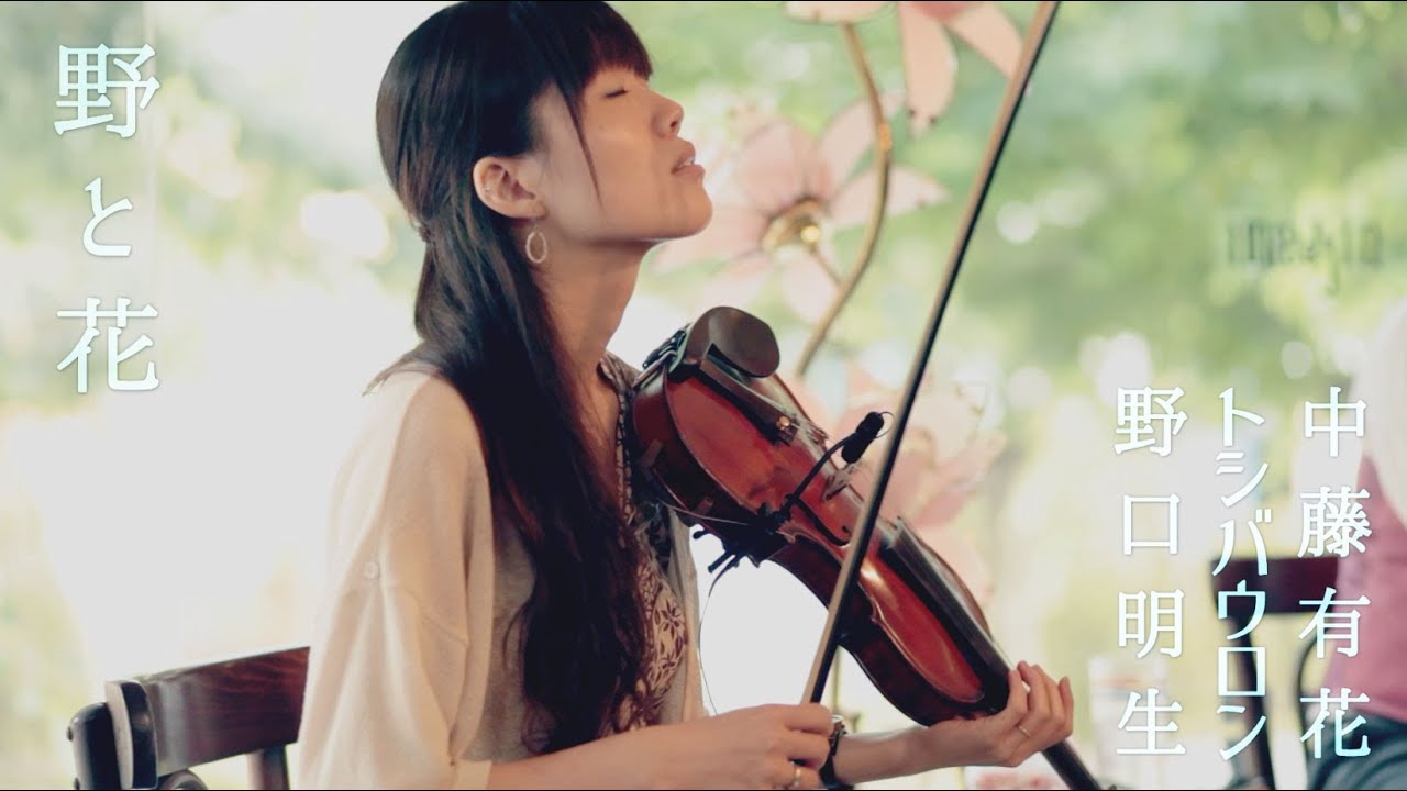 野と花『The Oblique Jig Set』