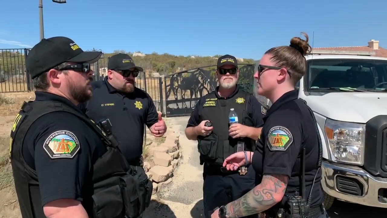 Officers Assist at Defunct Kennel