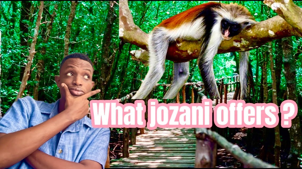 WHAT IS JOZANI FOREST ZANZIBAR  ITS OFFERING 