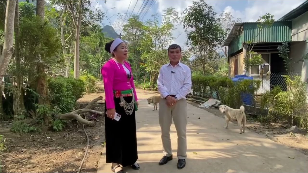 HÁT HAY KHÉO VÍ | KHÔNG NGHE QUÁ PHÍ