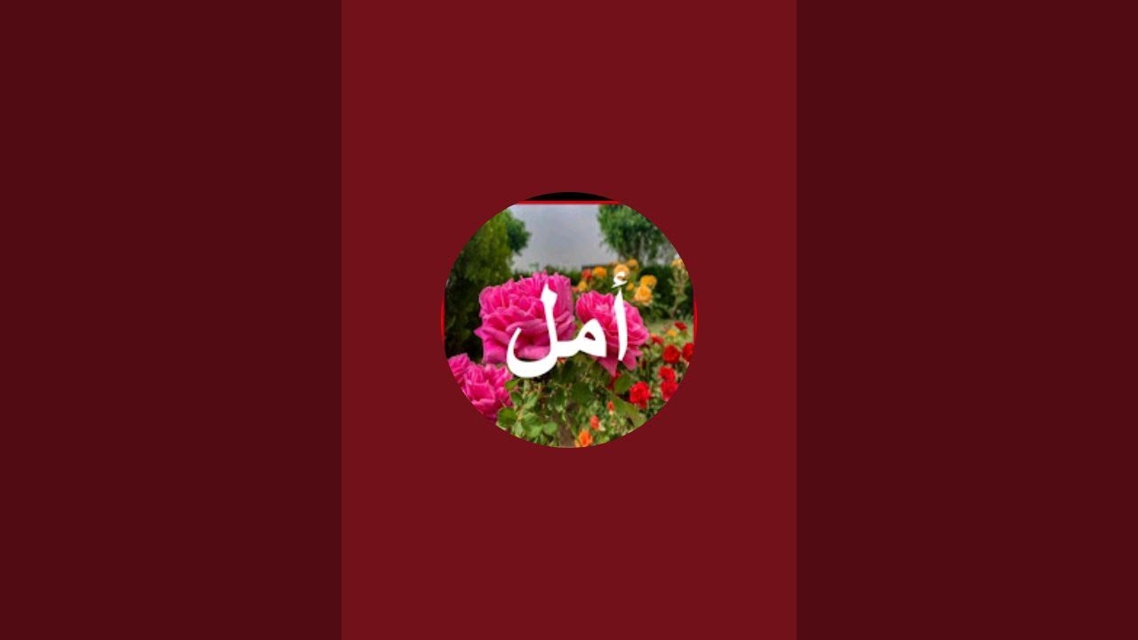 بدأت قناة 