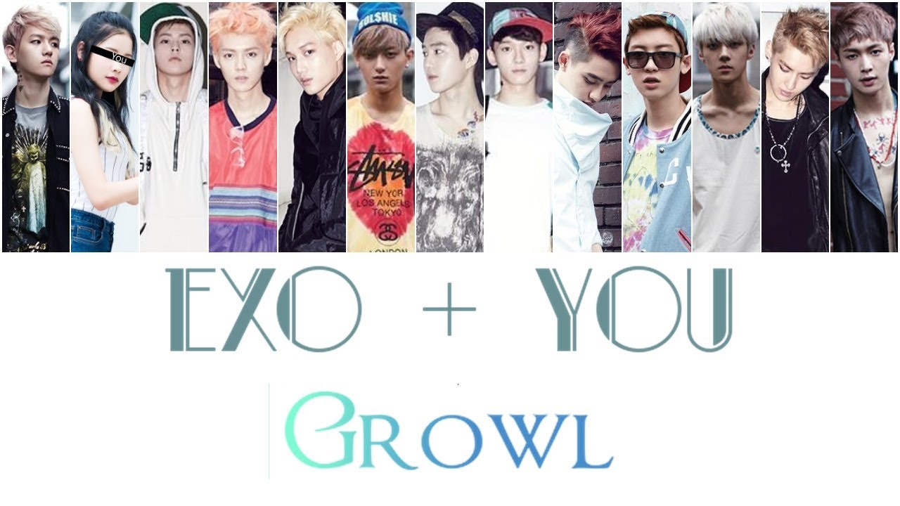 EXO + You (13 members) - Growl [Color Coded Lyrics/Rom]