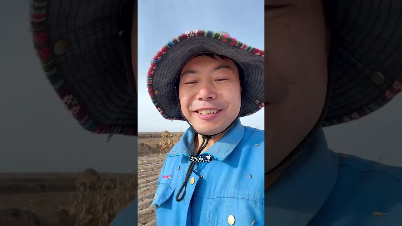 全网唯一一家还在掰玉米的农村人，也想早点过上猫冬的生活#记录真实生活 #陇上阿斌 #猫冬生活 #抖音新农人 #三农