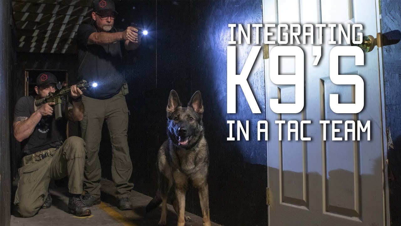 How to Train A Special Forces Military Dog | K9&rsquo;s in a Tactical Team & Home Defense