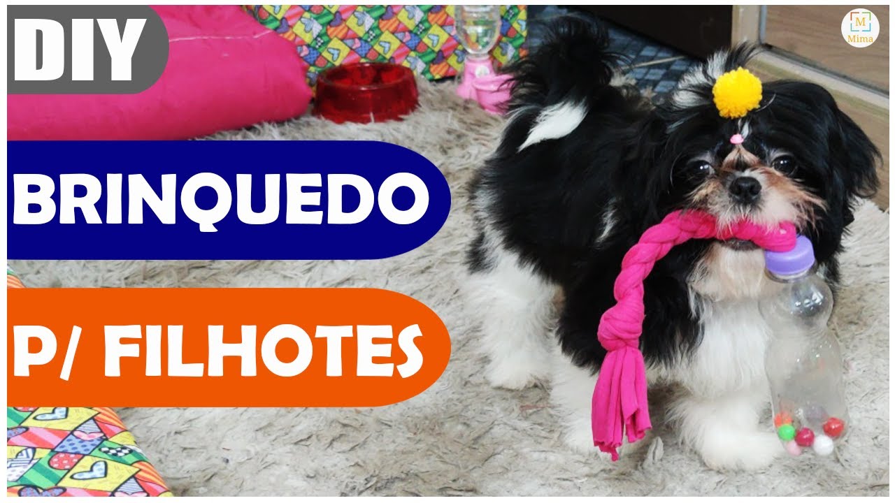 🔴DIY BRINQUEDO PARA FILHOTE l FÁCIL DE FAZER I SEM CUSTO 🐾