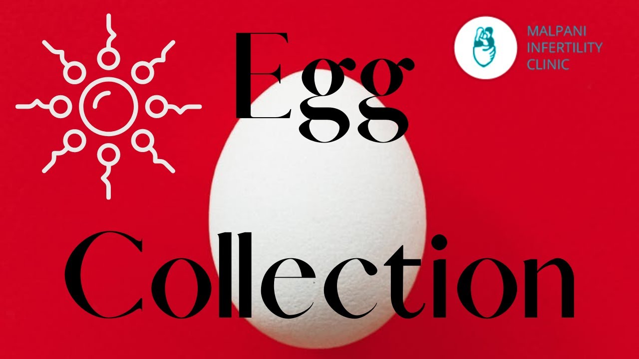 No eggs after IVF?  Problems with egg retrieval from follicles during egg collection #IVFEgg