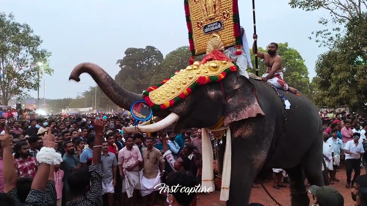 Thottakkad Vinayakan
