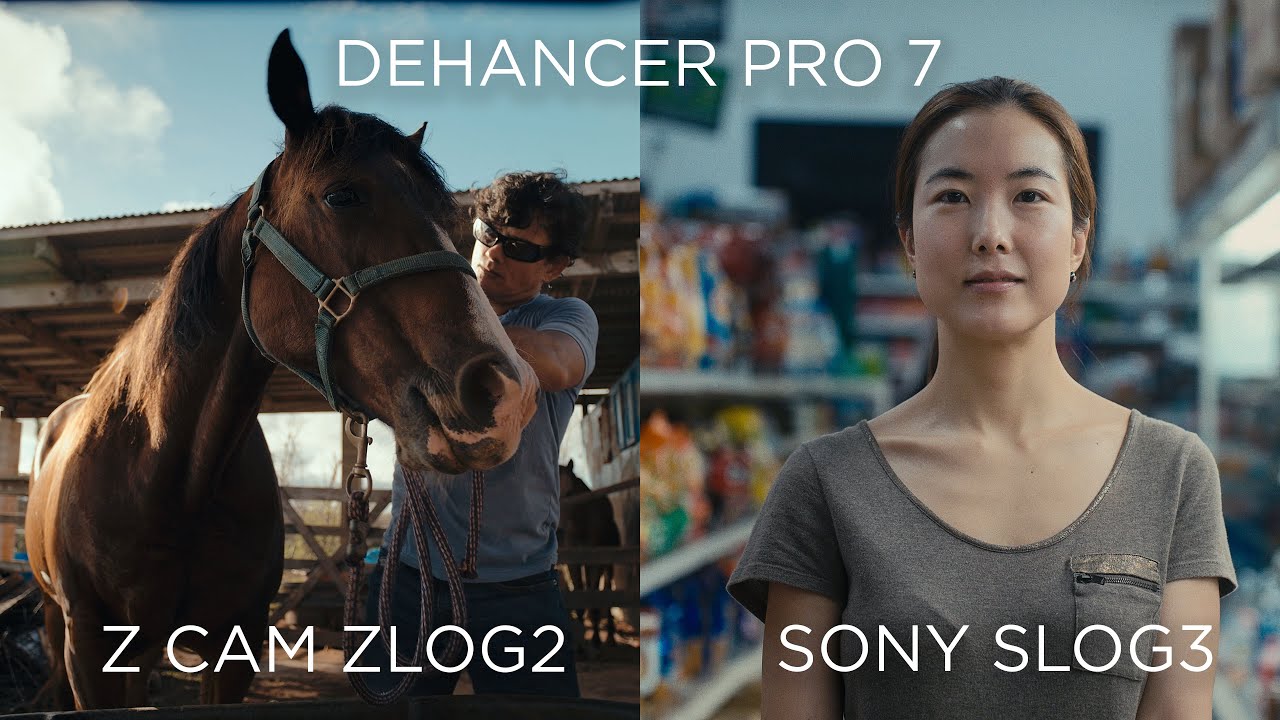 Dehancer Pro 7 Tutorial | ZCAM ZLOG2 & SONY SLOG3
