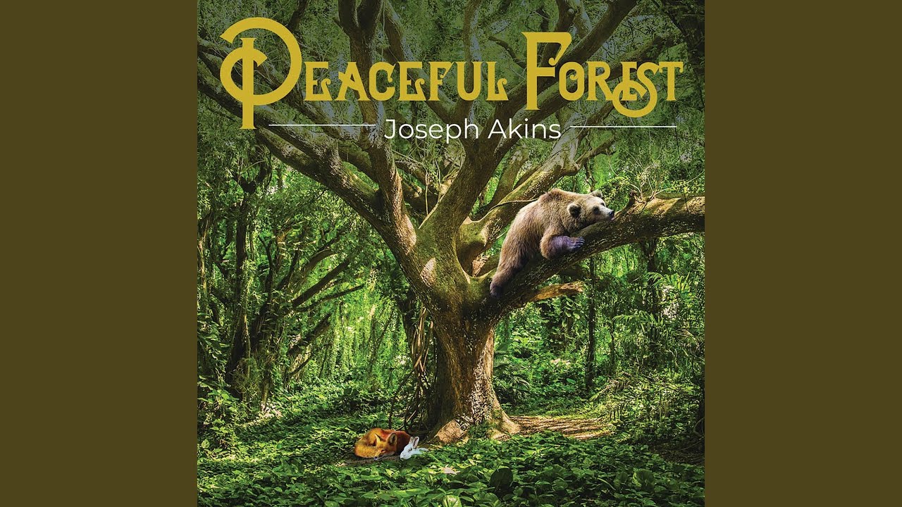 Peaceful Forest