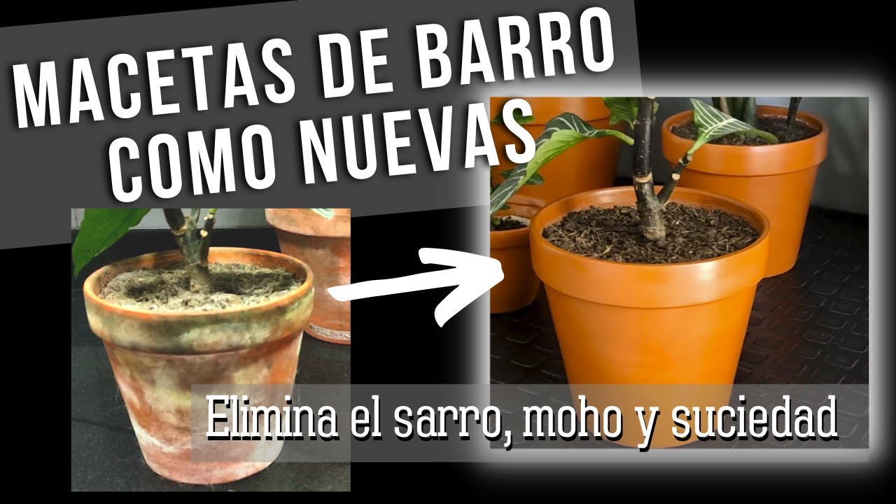 RENUEVA TUS MACETAS DE BARRO - ADIOS AL SARRO, MOHO Y SUCIEDAD - MACETAS HERMOSAS COMO NUEVAS 🖤