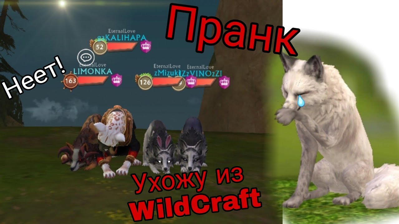 Пранк. Говорю своим друзьям что ухожу из WildCraft