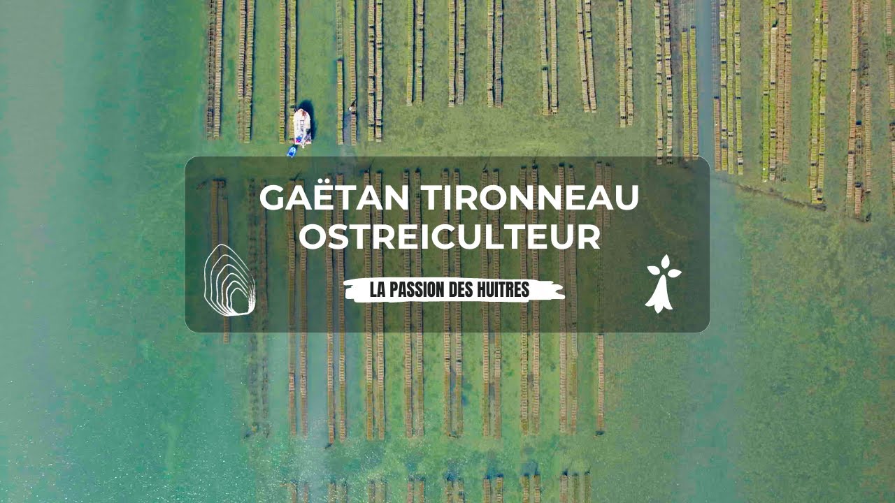 Gaëtan TIRONNEAU - Ostréiculteur à Locmariaquer