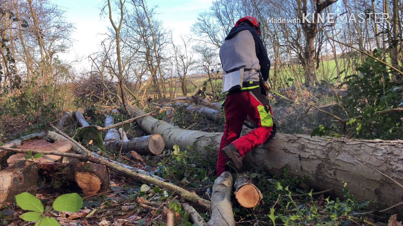Falling lumber and running a classic