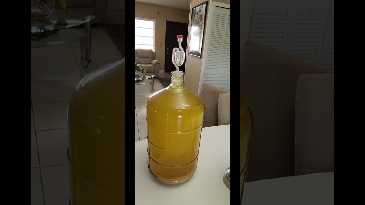 Trasiego y clima, el detalle que cambia tu vino!!!.