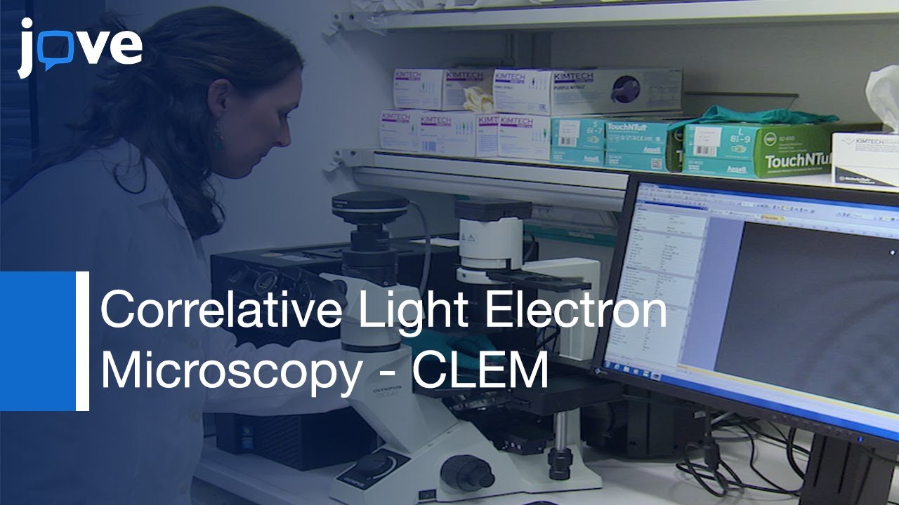 Correlative Light Electron Microscopy (CLEM)