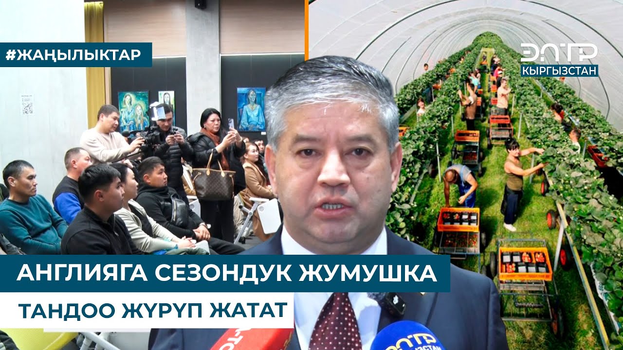 АНГЛИЯГА СЕЗОНДУК ЖУМУШКА ТАНДОО ЖҮРҮП ЖАТАТ