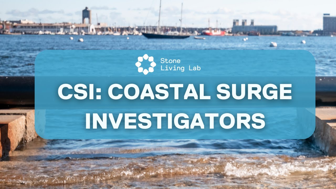 Coastal Surge Investigators: Virtual Training