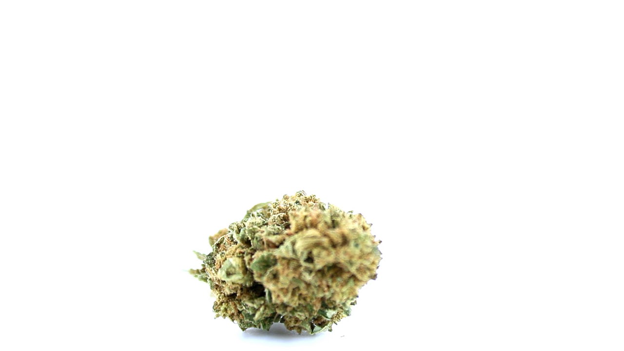 AMNESIA CBD By Cocorikush.fr
