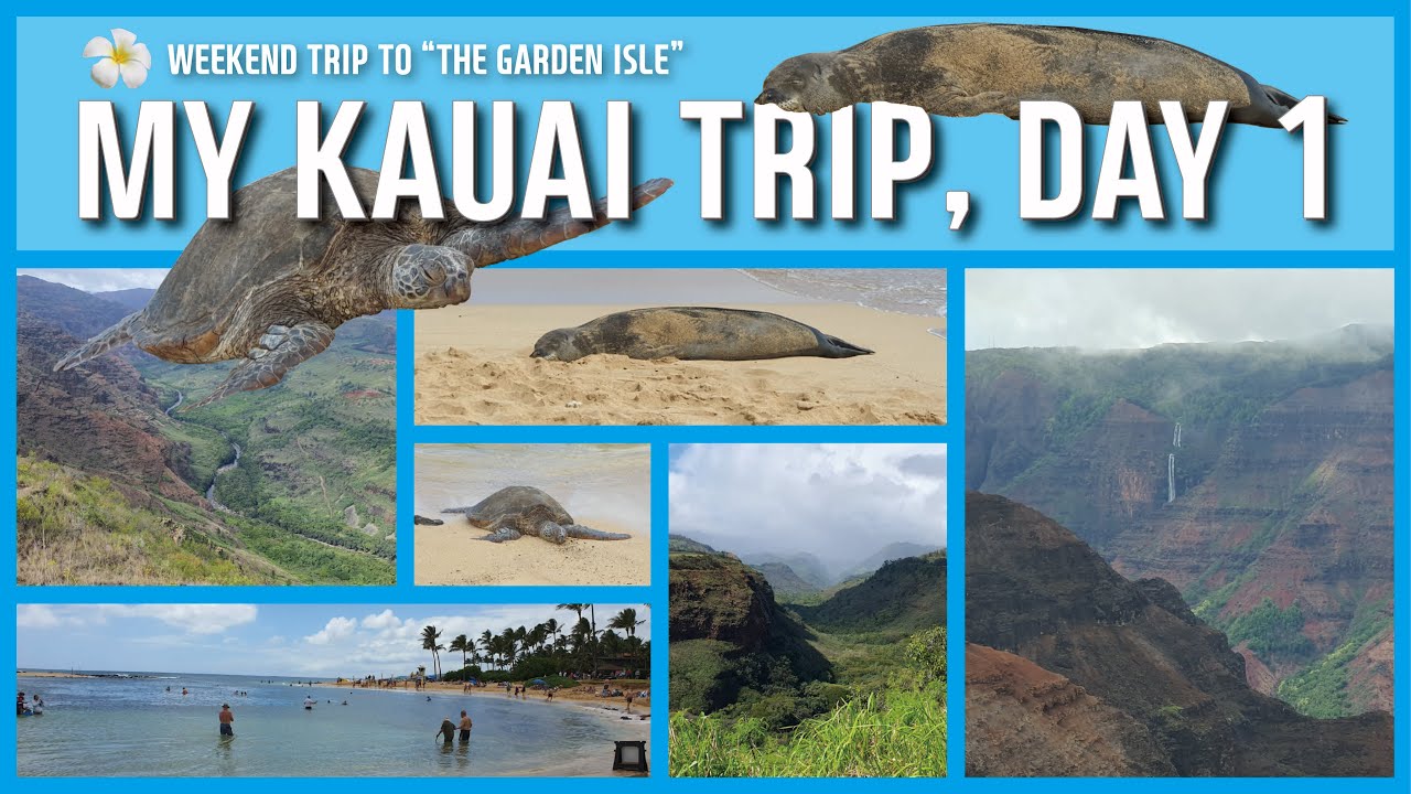 🏝️🌺 [KAUAI ISLAND] Hawaii Inter-Island Tour, My Trip to the Garden Isle, Day 1, 하와이 카우아이 여행  1일차